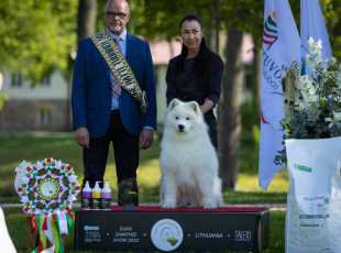 2023 Euroshow Bestveteran